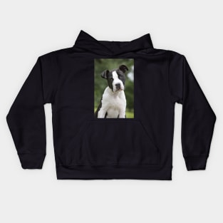 American Staffordshire Terrier Puppy Dog Kids Hoodie